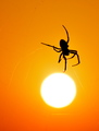 dodirni sunce &hellip;