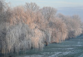 vilinsko jutro&hellip;