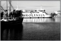zaljubljeni br&hellip;