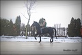 Jahać iz Gradi&hellip;