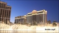 Las Vegas Caes&hellip;
