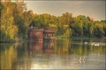 Labudova priča&hellip;