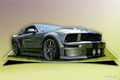  Shelby Mustan&hellip;