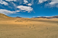 Dragon Valley,&hellip;