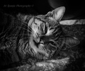 Jedan bw portr&hellip;