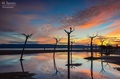 Šaaareni Sunse&hellip;