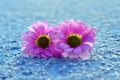 Soft colour rh&hellip;