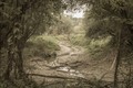 River that run&hellip;