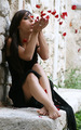 Blowing petals&hellip;