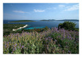 Kartolina - Il&hellip;