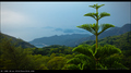 Budha island v&hellip;