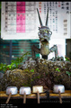 Tokyo, shrines&hellip;