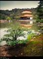 Rokuon-ji Temp&hellip;