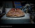 frutti di mare&hellip;