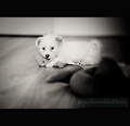 my name is Lou&hellip;