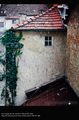 tresnjevacki m&hellip;