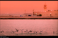 muezzin's&hellip;
