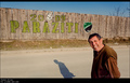 Paraziti, NK S&hellip;