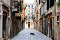 Venecijanski s&hellip;