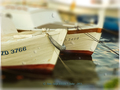 Boat on the le&hellip;