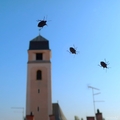 najezda ... s &hellip;