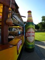 ... bilo kuda &hellip;