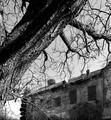 ... ruine (1) &hellip;