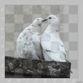 E7 ....  ŠAH-M&hellip;