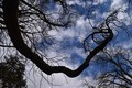 atmosfera (1)