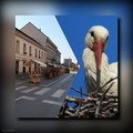... kolaž ?...&hellip;