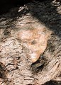 detalj jedne s&hellip;