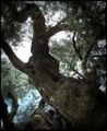 detalji (14) .&hellip;