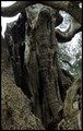 ... detalji (5&hellip;