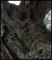 detalji (10) .&hellip;
