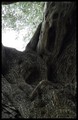 detalji (11) .&hellip;