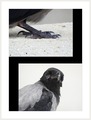 foto norije iz&hellip;