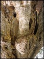 detalj stare m&hellip;