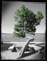 osobno (Sve)bo&hellip;
