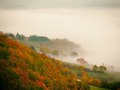 kalnička 14h 1&hellip;
