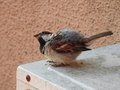 klimatizacija &hellip;