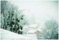 ... dnevni bor&hellip;