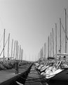 ... marinska (&hellip;
