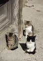 nedjeljom ... &hellip;