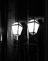 reflesije (noć&hellip;