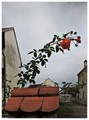 .. oblačno i j&hellip;