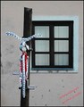miškov bicikl &hellip;