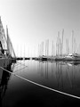 i opet marinsk&hellip;