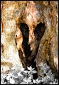 detalj jedne s&hellip;