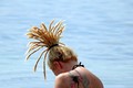 ...(nova) palm&hellip;