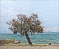 panorama (uz j&hellip;